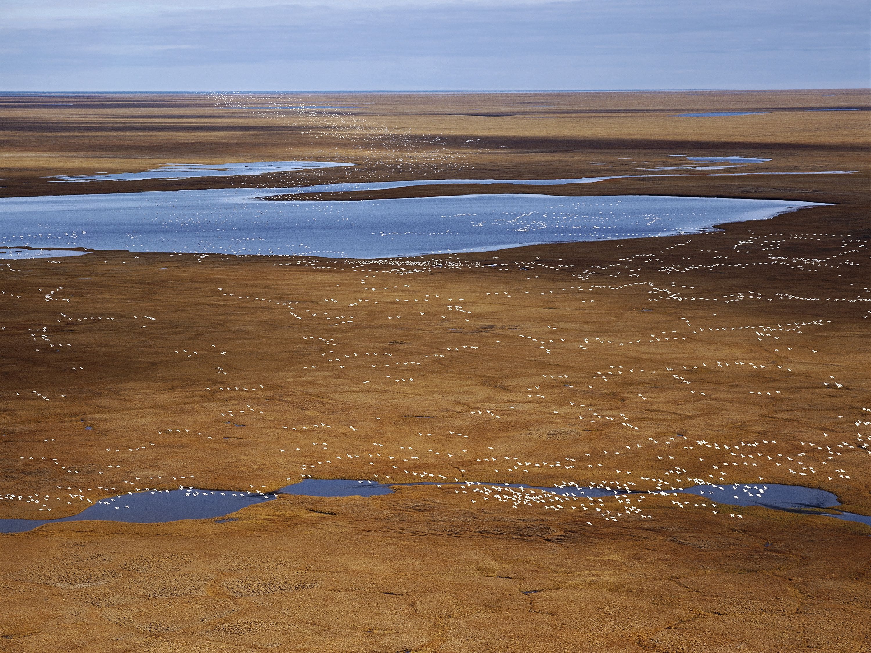 The Fight for Alaska's Arctic Has Just Begun | Anthropocene Curriculum